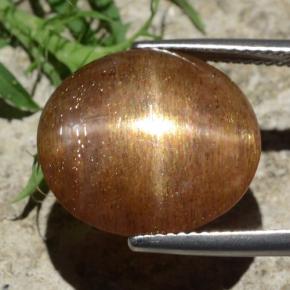 Pierre de soleil étoilée Brun doré naturelle Coupe ovale, 12.29 ct, Opaque