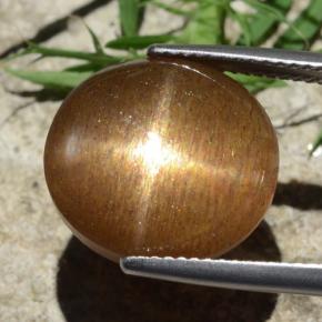 Pierre de soleil étoilée Brun doré naturelle Coupe ovale, 12.58 ct, Opaque