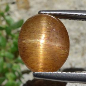 Pierre de soleil étoilée Brun doré naturelle Coupe ovale, 4.53 ct, Opaque