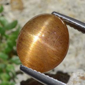 Pierre de soleil étoilée Brun doré naturelle Coupe ovale, 4.53 ct, Opaque