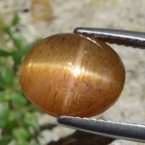 Pierre de soleil étoilée Brun doré naturelle Coupe ovale, 4.53 ct, Opaque