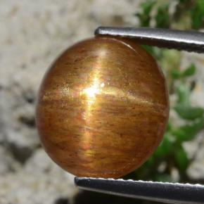 Pierre de soleil étoilée Brun doré naturelle Coupe ovale, 8.30 ct, Opaque