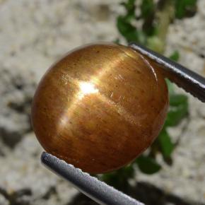 Pierre de soleil étoilée Brun doré naturelle Coupe ovale, 8.30 ct, Opaque