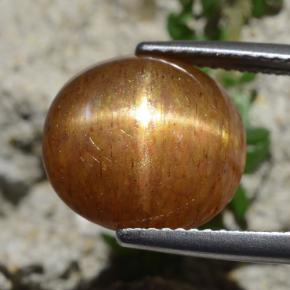 Pierre de soleil étoilée Brun doré naturelle Coupe ovale, 8.30 ct, Opaque