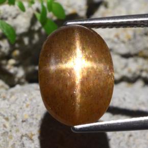 Pierre de soleil étoilée Brun doré naturelle Coupe ovale, 4.80 ct, Opaque