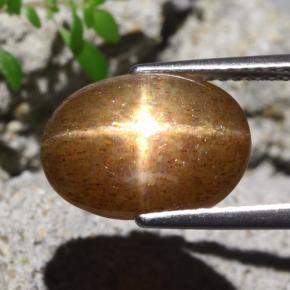 Pierre de soleil étoilée Brun doré naturelle Coupe ovale, 4.80 ct, Opaque