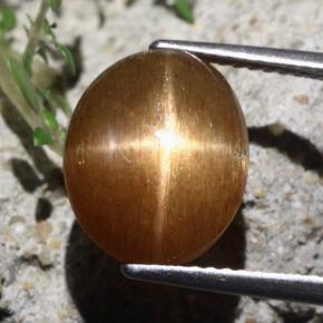 Pierre de soleil étoilée Brun doré naturelle Coupe ovale, 7.06 ct, Opaque