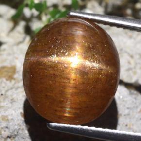 Pierre de soleil étoilée marron naturelle coupe ovale, 9,36 ct, opaque