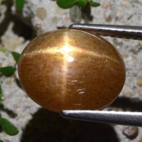 Pierre de soleil étoilée Brun doré naturelle Coupe ovale, 5.40 ct, Opaque