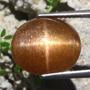 Pierre de soleil étoilée Brun doré naturelle Coupe ovale, 9.51 ct, Opaque