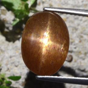 Pierre de soleil étoilée marron naturelle coupe ovale, 6,29 ct, opaque