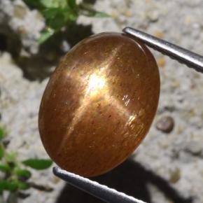 Pierre de soleil étoilée marron naturelle coupe ovale, 6,29 ct, opaque