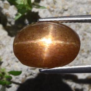 Pierre de soleil étoilée marron naturelle coupe ovale, 6,29 ct, opaque