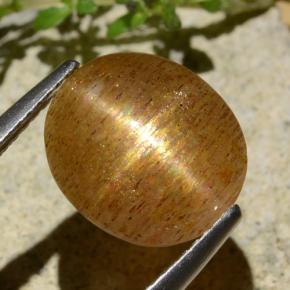 Pierre de soleil étoilée Brun doré naturelle Coupe ovale, 3.99 ct, Translucide