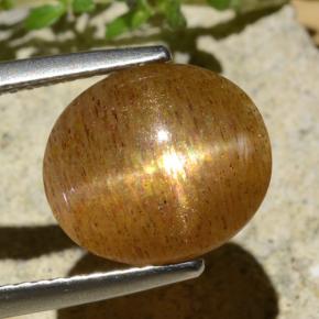 Pierre de soleil étoilée Brun doré naturelle Coupe ovale, 3.99 ct, Translucide