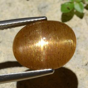 Pierre de soleil étoilée Brun doré naturelle Coupe ovale, 6.61 ct, Opaque