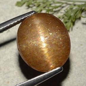 Pierre de soleil étoilée Brun doré naturelle Coupe ovale, 7.25 ct, Translucide