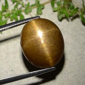 Pierre de soleil étoilée Brun doré naturelle Coupe ovale, 16.93 ct, Opaque