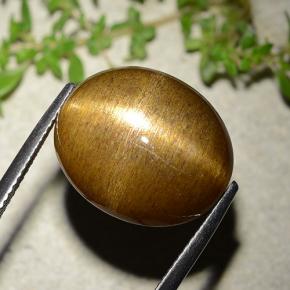 Pierre de soleil étoilée Brun doré naturelle Coupe ovale, 16.93 ct, Opaque