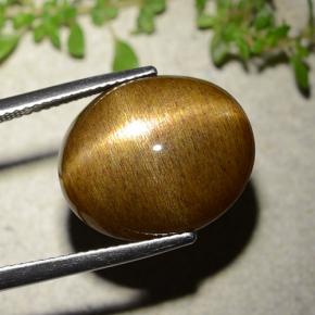 Pierre de soleil étoilée Brun doré naturelle Coupe ovale, 16.93 ct, Opaque