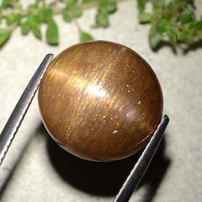 Pierre de soleil étoilée Brun doré naturelle Coupe roude, 15.15 ct, Opaque