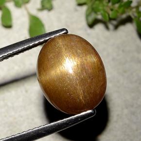 Pierre de soleil étoilée Brun doré naturelle Coupe ovale, 6.21 ct, Opaque