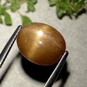 Pierre de soleil étoilée Brun doré naturelle Coupe ovale, 6.21 ct, Opaque