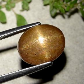 Pierre de soleil étoilée Brun doré naturelle Coupe ovale, 6.21 ct, Opaque