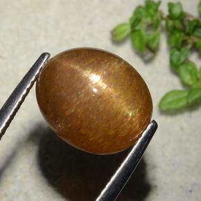 Pierre de soleil étoilée Brun doré naturelle Coupe ovale, 7.51 ct, Opaque