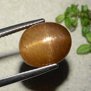 Pierre de soleil étoilée Brun doré naturelle Coupe ovale, 7.51 ct, Opaque