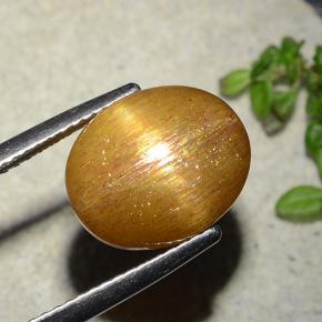 Pierre de soleil étoilée Brun doré naturelle Coupe ovale, 5.86 ct, Opaque