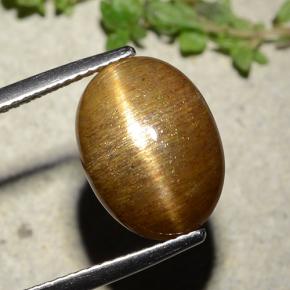 Pierre de soleil étoilée Brun doré naturelle Coupe ovale, 7.67 ct, Opaque