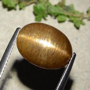 Pierre de soleil étoilée Brun doré naturelle Coupe ovale, 7.67 ct, Opaque