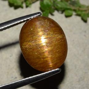 Pierre de soleil étoilée marron doré naturelle coupe ovale, 8,81 ct, opaque