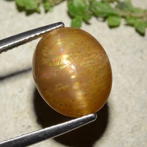 Pierre de soleil étoilée doré naturelle coupe ovale, 8,25 ct, opaque