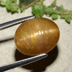 Pierre de soleil étoilée doré naturelle coupe ovale, 8,25 ct, opaque