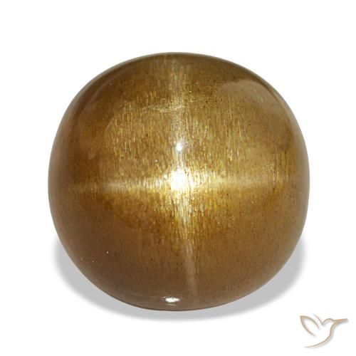 Pierre de soleil étoilée Caramel brun naturelle Coupe ovale, 13.03 ct, Opaque