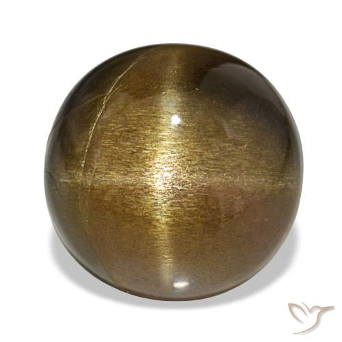 Pierre de soleil étoilée Brun doré naturelle Coupe ovale, 11.00 ct, Opaque