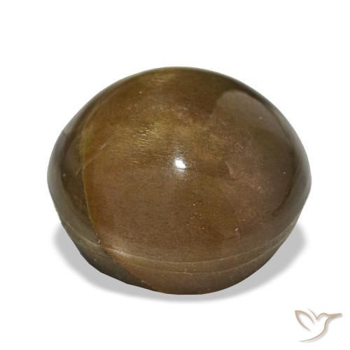 Pierre de soleil étoilée Brun doré naturelle Coupe ovale, 11.00 ct, Opaque