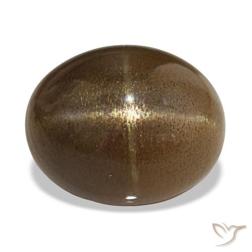13.92ct Brun café Pierre de soleil étoilée, Ovale, Opaque
