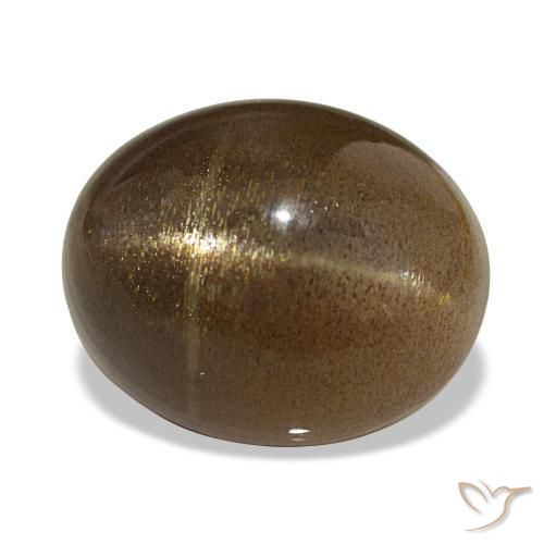 Pierre de soleil étoilée Brun café naturelle Coupe ovale, 13.92 ct, Opaque