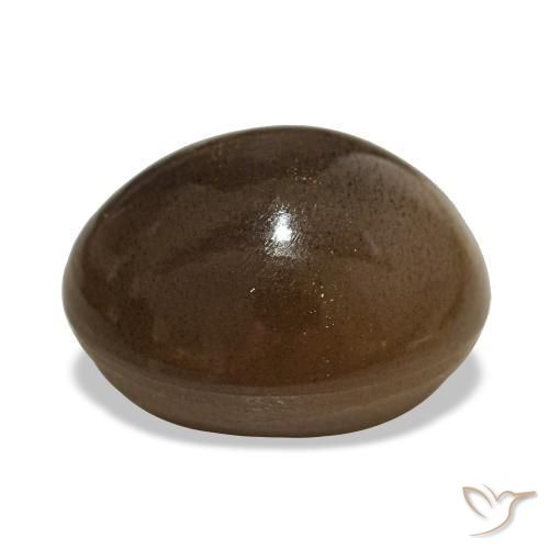 Pierre de soleil étoilée Brun café naturelle Coupe ovale, 13.92 ct, Opaque
