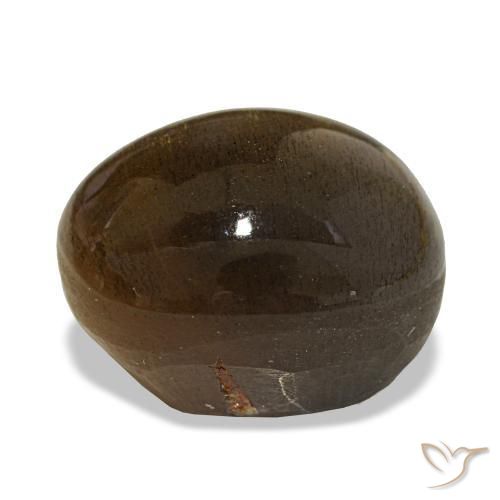 Pierre de soleil étoilée Marron chaud naturelle Coupe ovale, 18.10 ct, Opaque