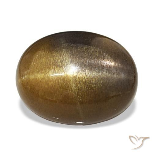 10.87ct Brun moyen Pierre de soleil étoilée Pierres précieuses, Ovale, Opaque