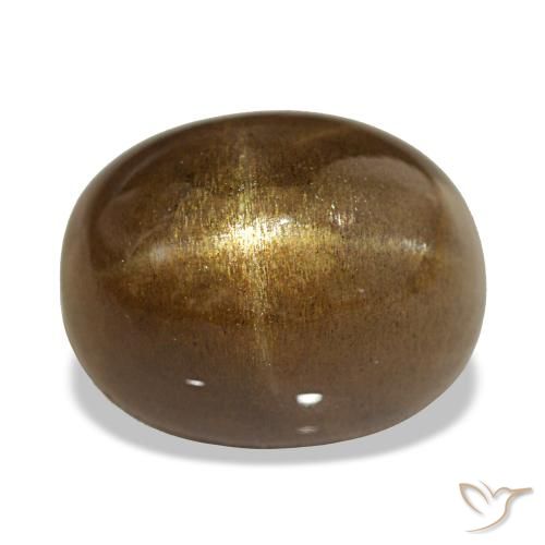 Pierre de soleil étoilée Brun moyen naturelle Coupe ovale, 13.45 ct, Opaque