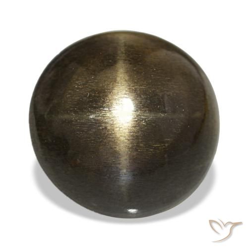 Pierre de soleil étoilée Brun chocolat naturelle Coupe roude, 9.08 ct, Opaque