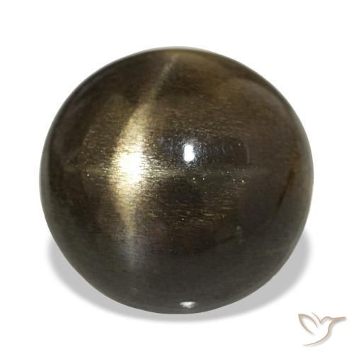 Pierre de soleil étoilée Brun chocolat naturelle Coupe roude, 9.08 ct, Opaque