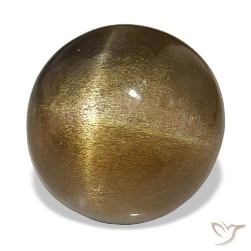 Pierre de soleil étoilée Marron clair naturelle Coupe roude, 18.17 ct, Opaque
