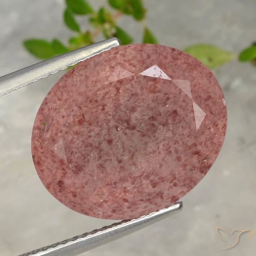 Quartz Fraise Rose naturelle ovale, 13.42 ct, Translucide