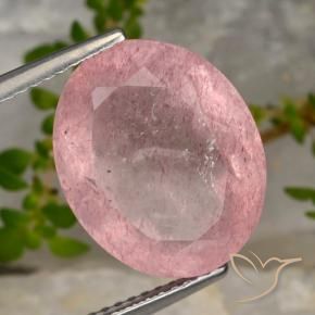 Quartz fraise Rose clair naturelle ovale, 8.28 ct, Translucide